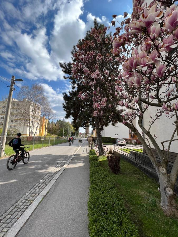Friendly Space Apartment Graz Exterior foto